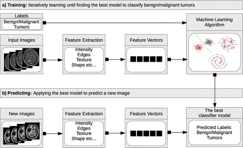 medical imaging