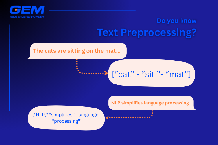 Text Preprocessing Example