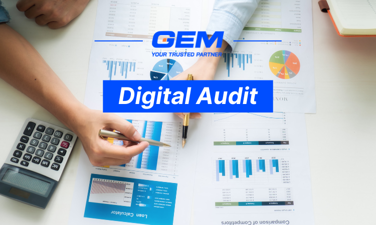 digital audit