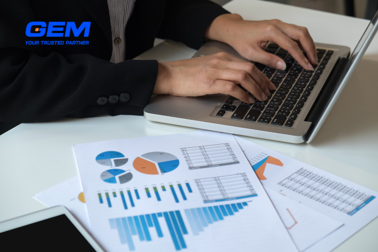 gem’s service for end to end business audits