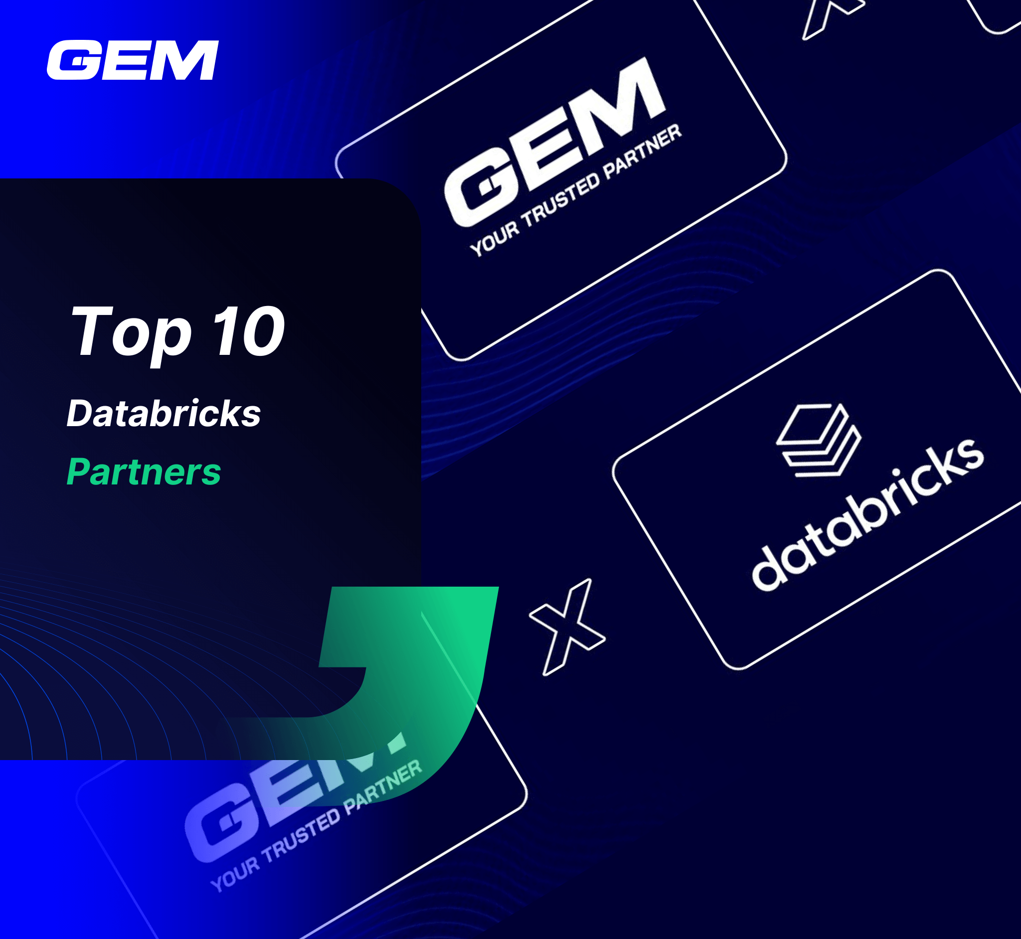 databricks partner