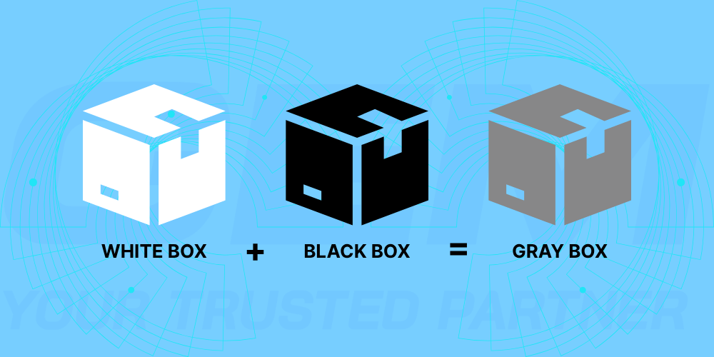 gray box testing