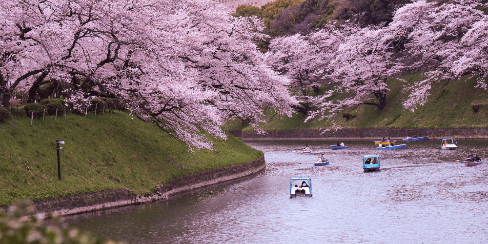 japan it service companies