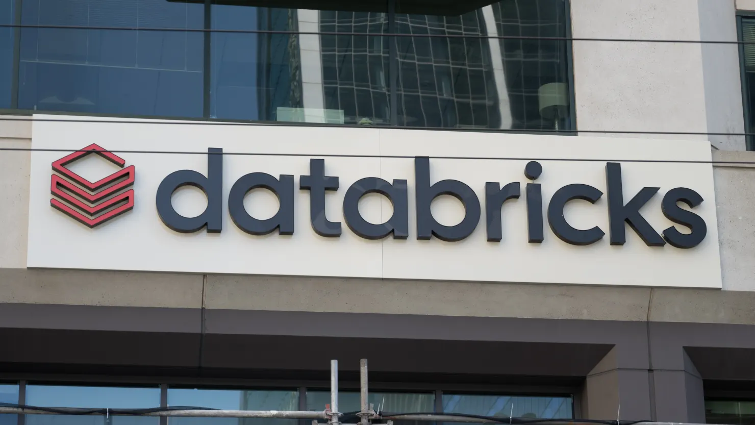 why databricks partners