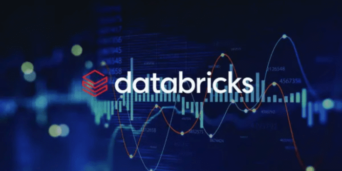 databricks technology partners