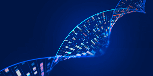 databricks6
