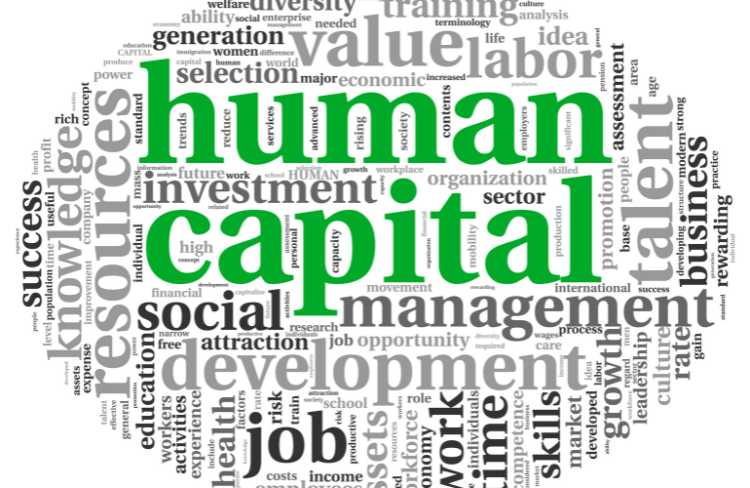 top 10 human capital management systems hcm5