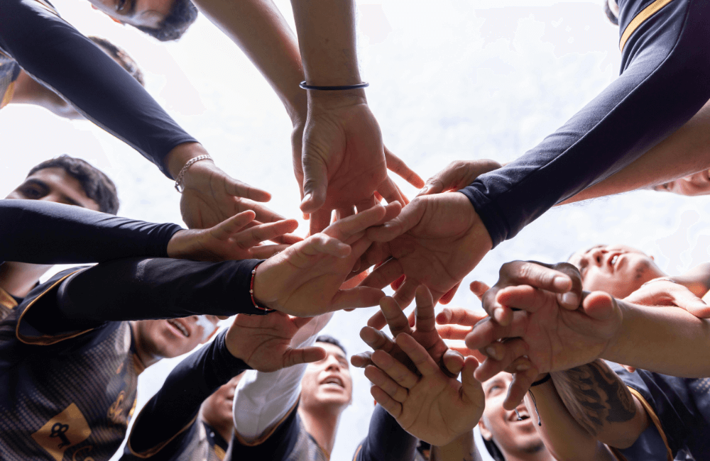 what is a dedicated development team