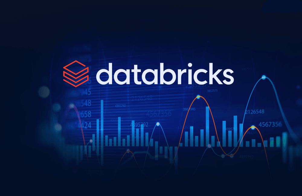 how does the databricks ecosystem work