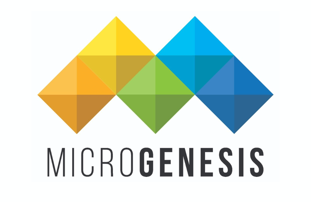 microgenesis techsoft microgenesis techsoft