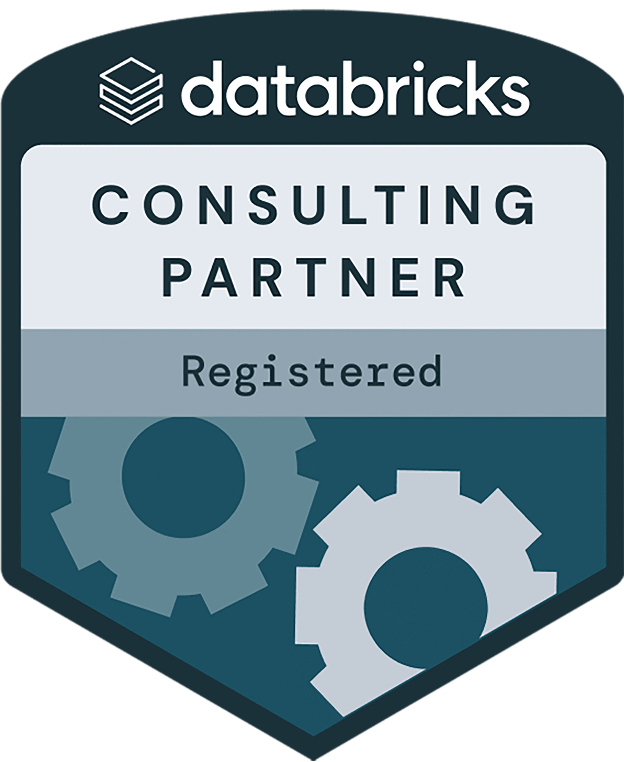 Databricks parner scaled
